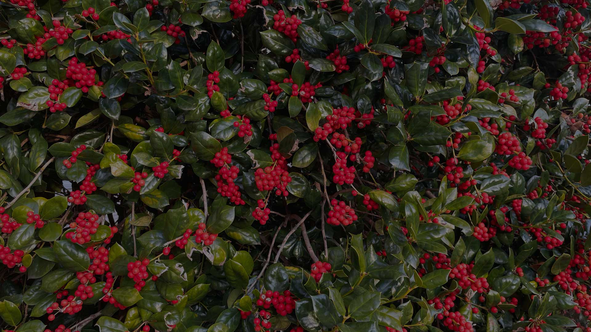 Zion Evangelical Lutheran Church—East Petersburg—Pennsylvania